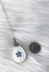 forget me not flower