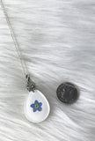 forget me not flower