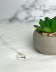 real mustard seed necklace inside of mountain